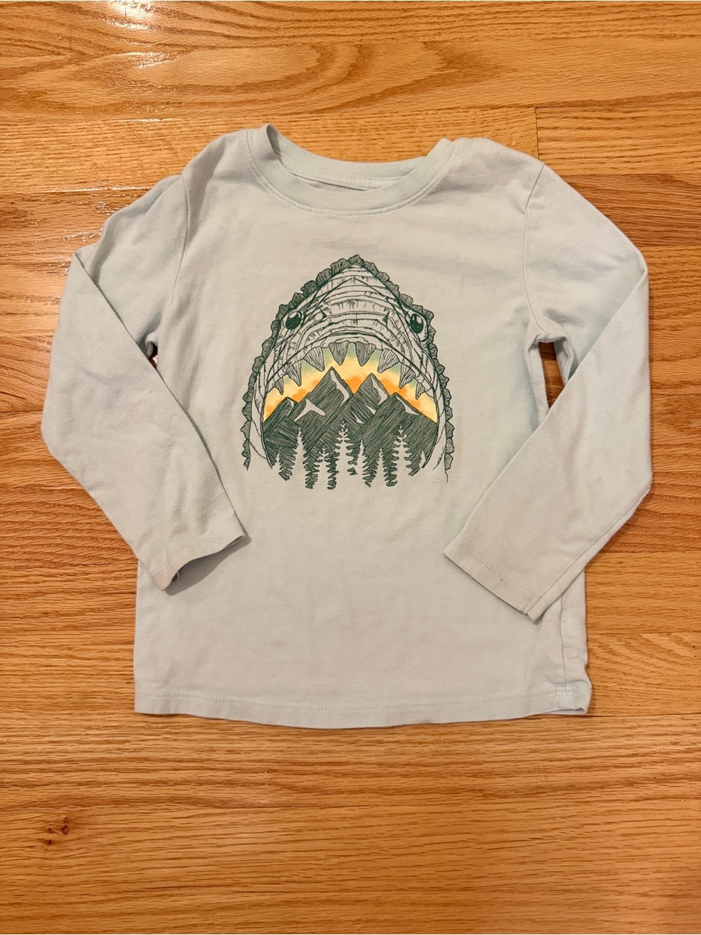 Graphic Long Sleeve Shirt with Mountain Design